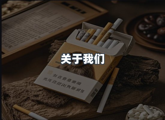 专业团队
